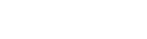 Windscreen Services logo